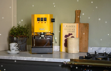 Načítať obrázok do zobrazovača galérie, Gaggia Classic E24/Pákový espresso kávovar v rôzny farbách