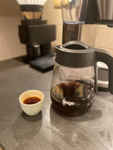 Načítať obrázok do zobrazovača galérie, Batchbrewer SAGE-Prekvapkávací kávovar-Strieborný