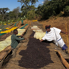 Načítať obrázok do zobrazovača galérie, Etiópia Guji/Natural/250g
