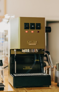 Gaggia New Classic Evo/Pákový espresso kávovar/Rôzne farby