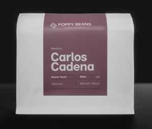 Mexico Carlos Cadena Natural/250g/Filter