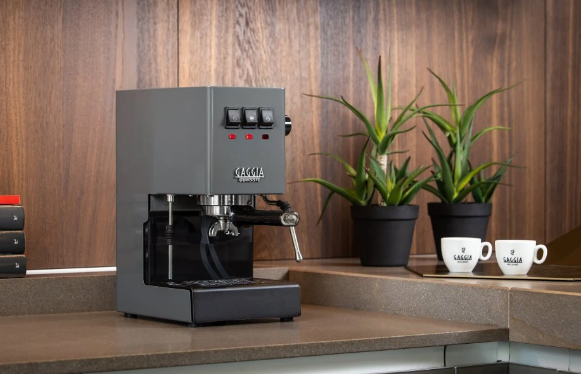 Gaggia Classic Evo E24 sivá/Pákový espresso kávovar