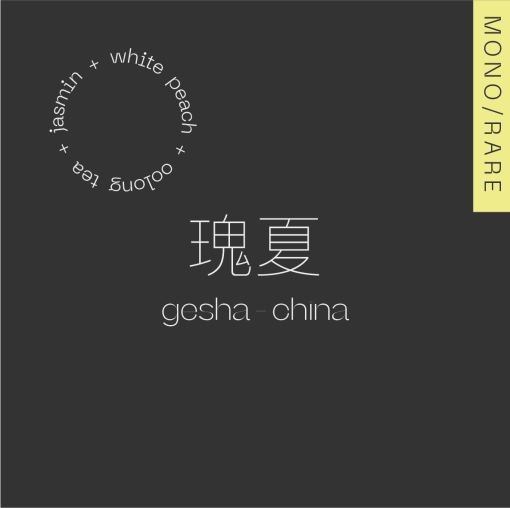GESHA CHINA YUNNAN/100g na filter