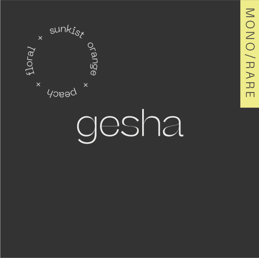 GESHA³ COLOMBIA LAS MARIAS/100g na filter